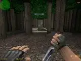 as_forest